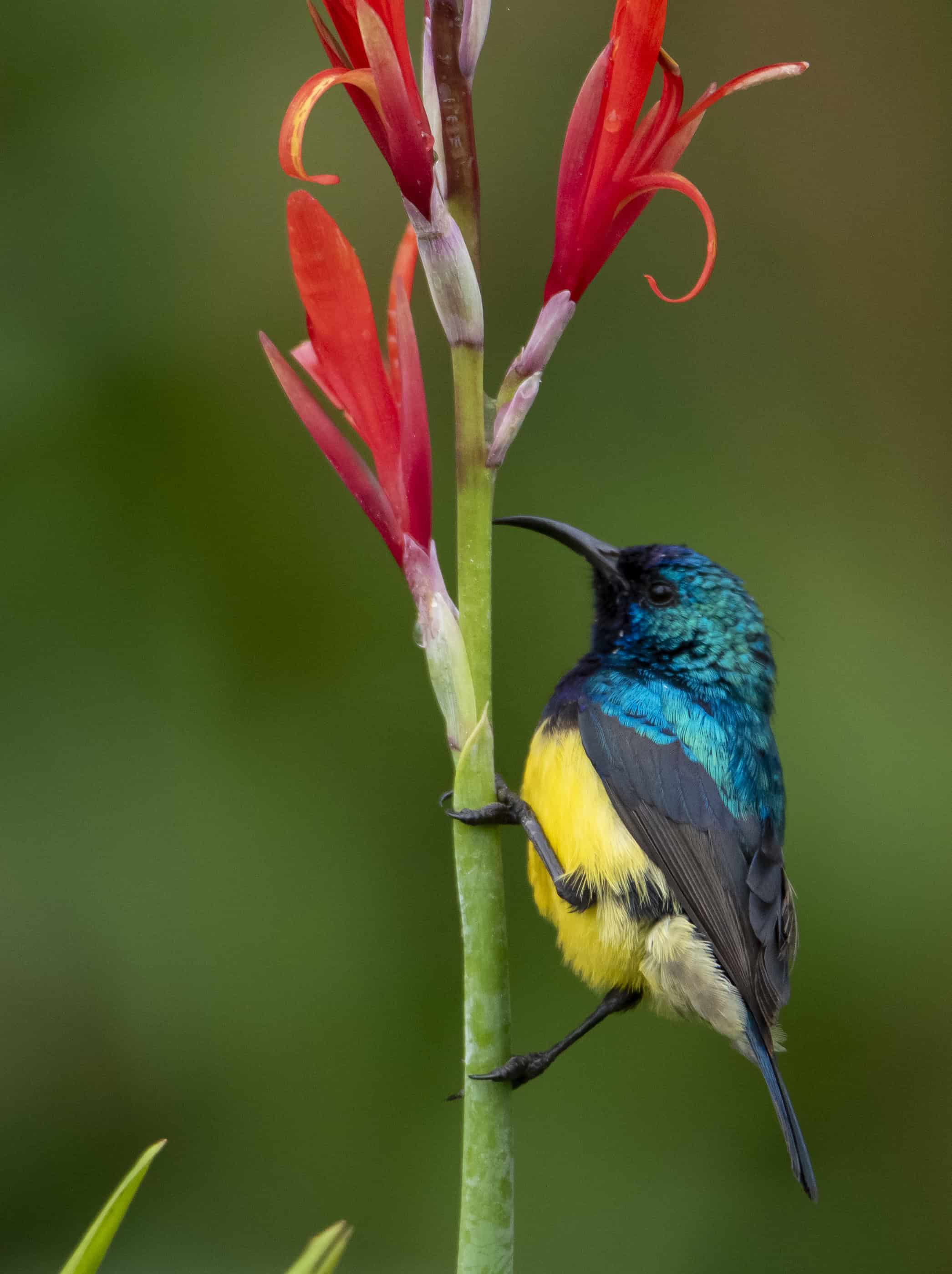 Documentary photography