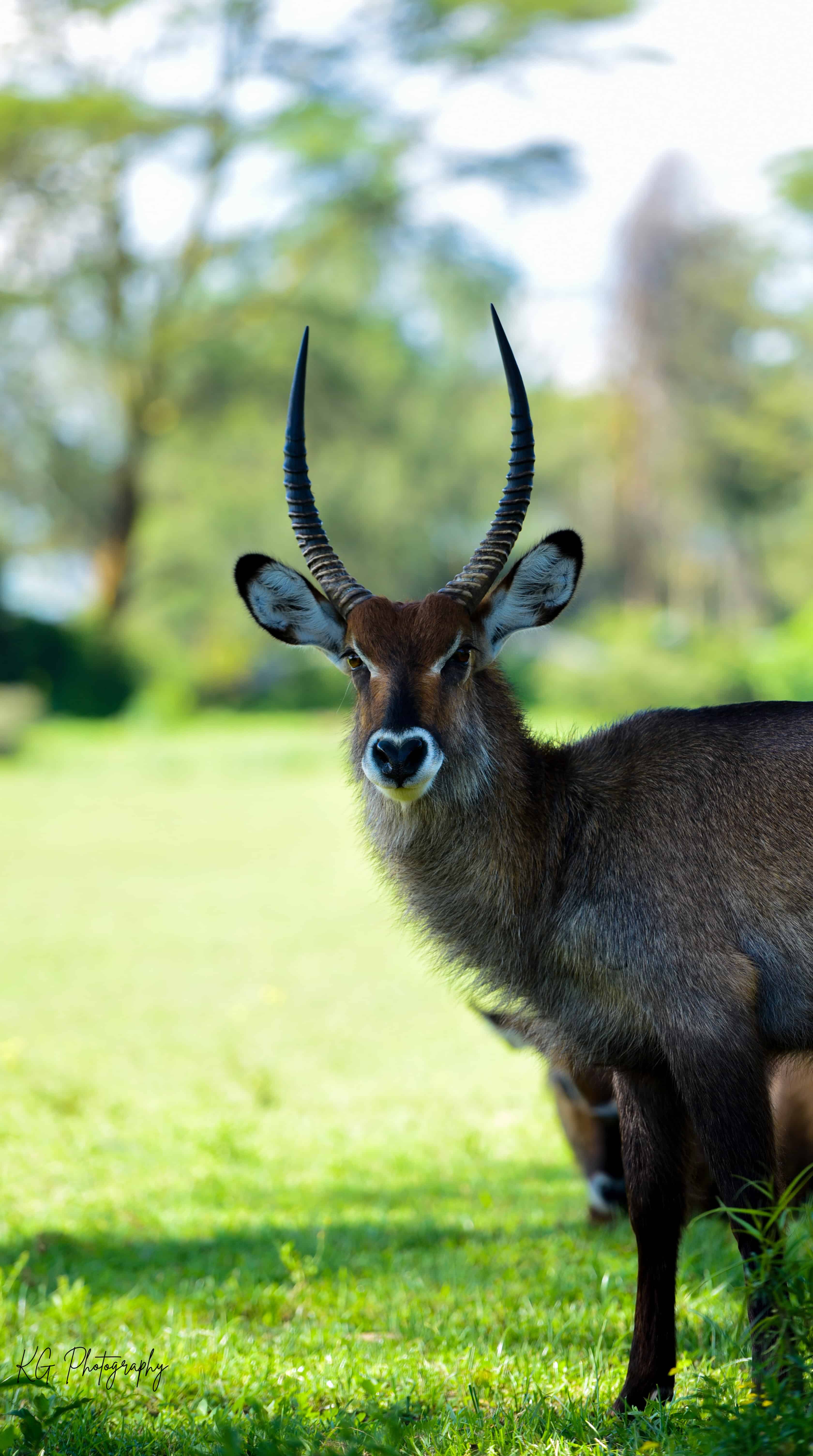 Documentary photography