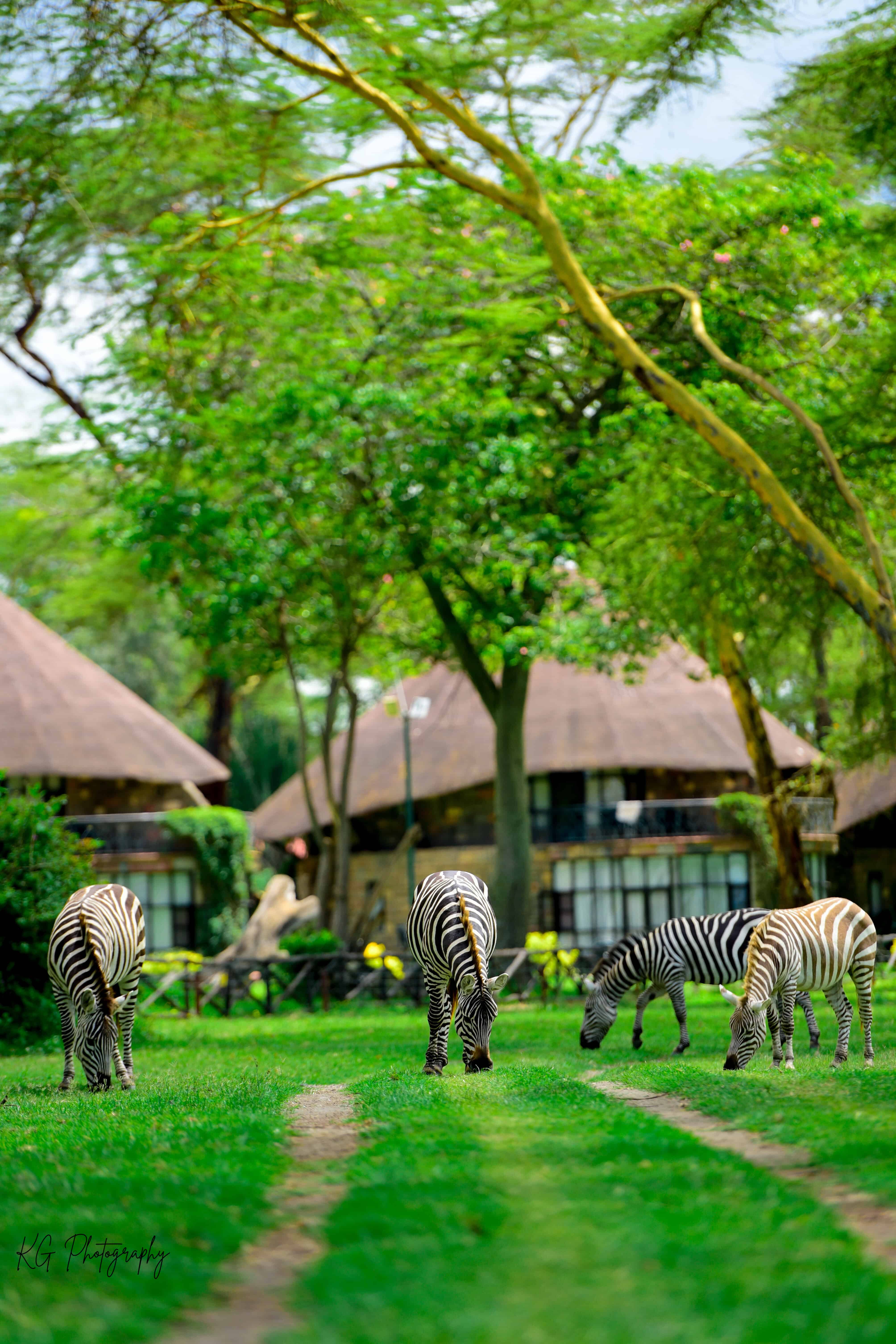 Documentary photography